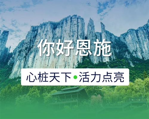 新城開埠 | 心樁天下，“電”亮恩施
